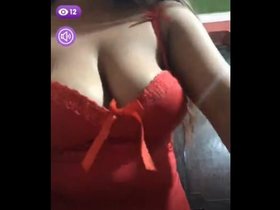 Raveena's enticing performance in a live show