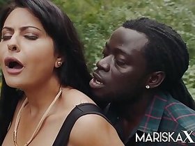 MARISKAX Mariska offered to a BBC by her husband