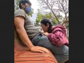 A couple engages in outdoor sex at a park