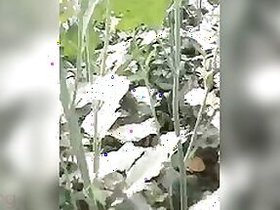 Desi old man fucks in the open air MMC sex movie